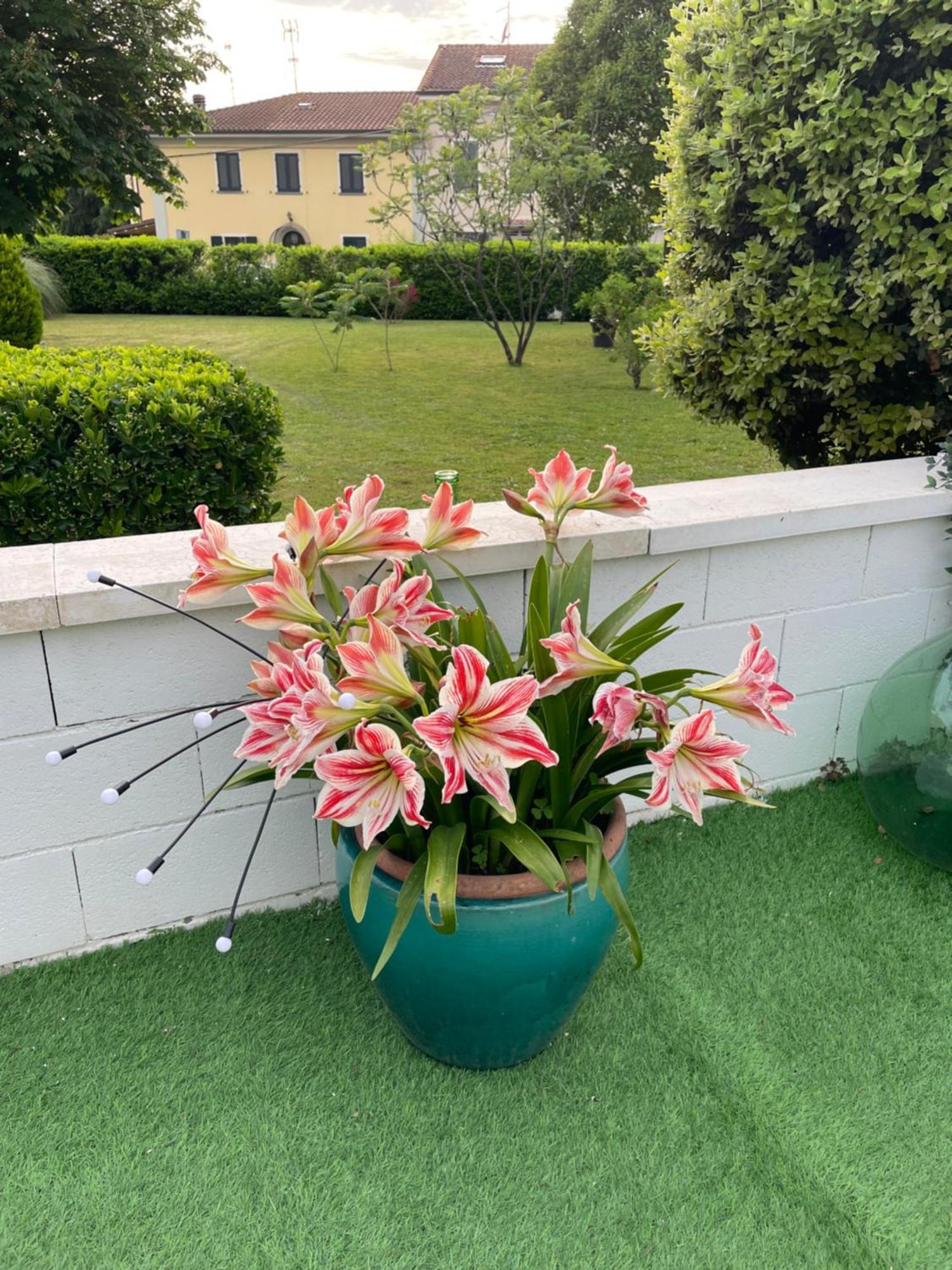 Galleno House公寓 外观 照片